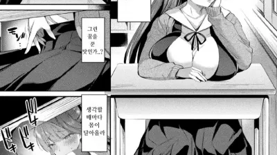 성공전기 쥬얼 루미너스 3