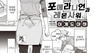포메라니언과 레몬사워